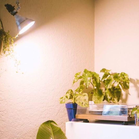 LED Full Spectrum Grow Light for Indoor Plants